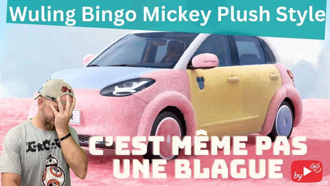 rencontre avec la wuling bingo mickey plush style