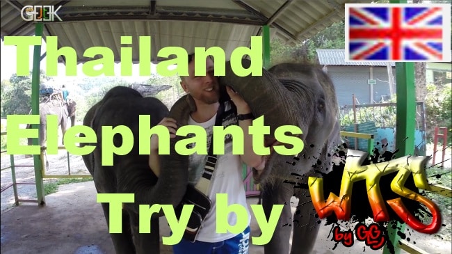Thailand elephant test English