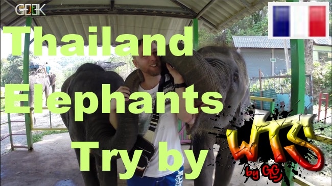 Thailand elephant test FR