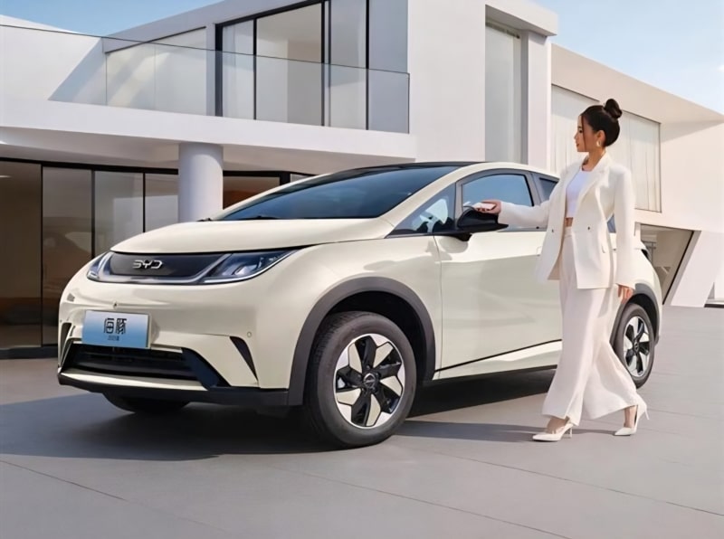 byd dolphin will enter south korea