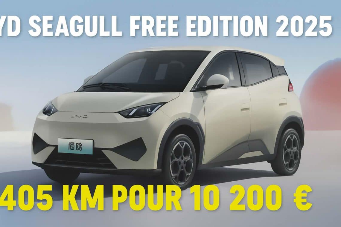 byd seagull free edition 2025 youtube