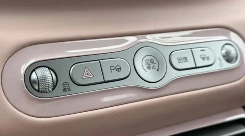 byd seagull free edition boutons
