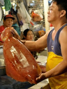poissonnier chinois avec un calamar