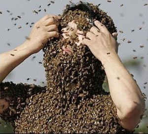 homme au visage recouvert d'abeilles