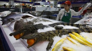 crocodiles sur l'étale d'une poissonnerie chinoise