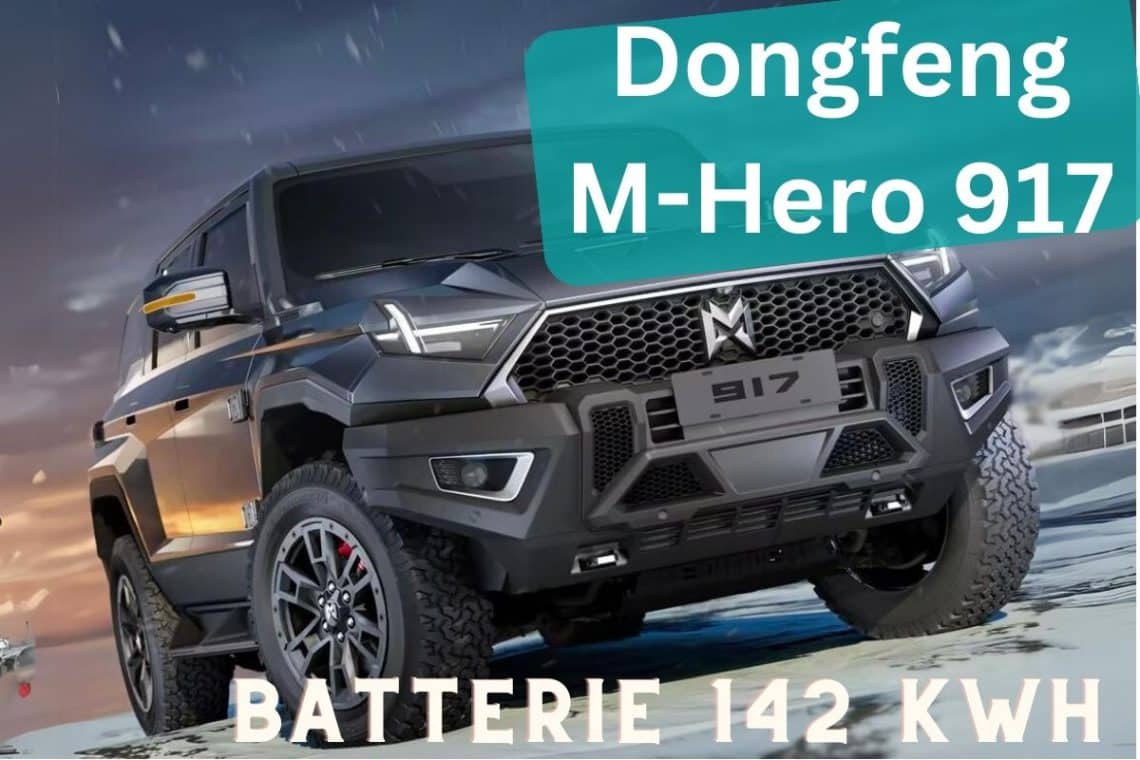 dongfen m hero 917