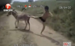 un chinois se bat pieds nus avec un âne