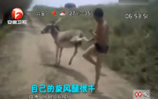 un chinois se bat pieds nus avec un âne