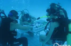 joueurs de mahjong chinois sous l'eau