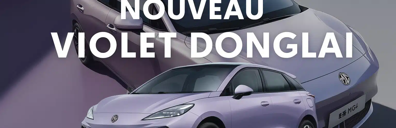 mg4 donglai purple quart ar