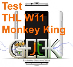 thl-w11-Test