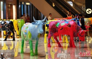 les vaches colorées de nanjing