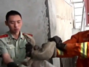 lézard géant capturé en chine