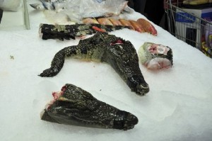viande-de-crocodile-guangzhou-01