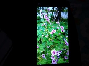 photo de l'écran 1080p du xiami mi3