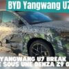 yangwang u7 opens pre sales